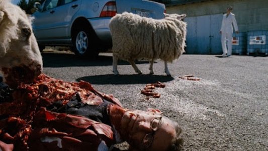 Black Sheep