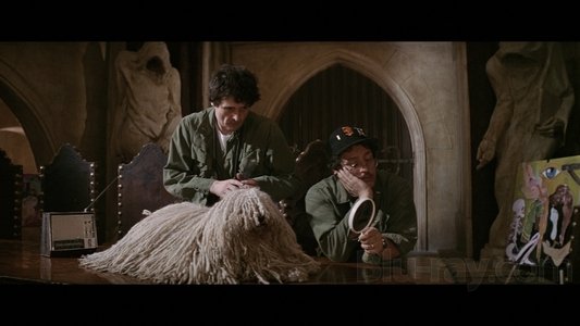 The Ninth Configuration