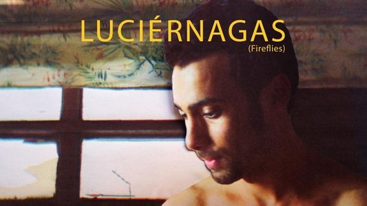 Luciérnagas