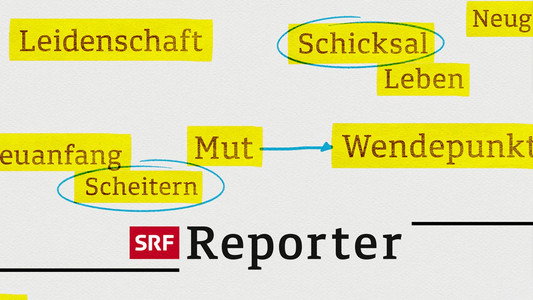 Reporter