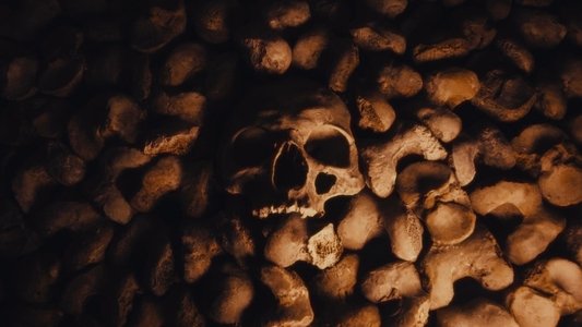 Queens of the Stone Age: Alive in the Catacombs