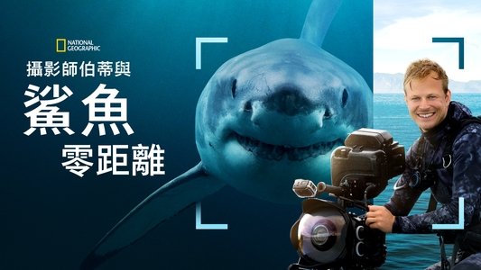 Sharks Up Close with Bertie Gregory