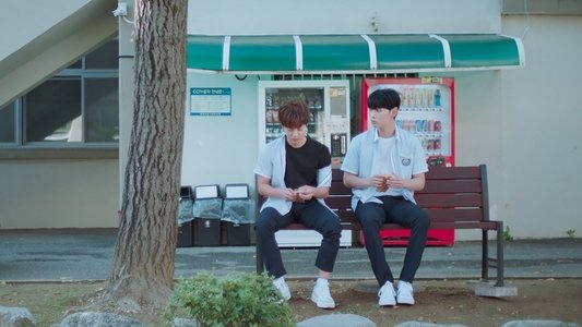 연애 지상주의 구역