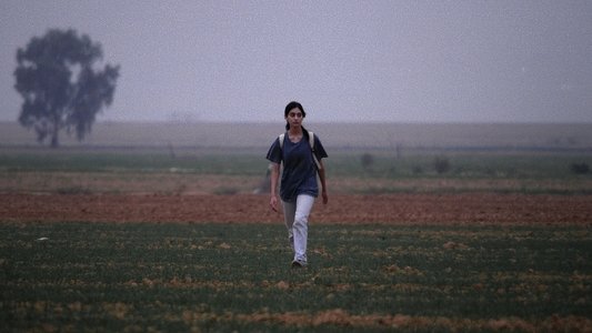 על כלבים ואנשים