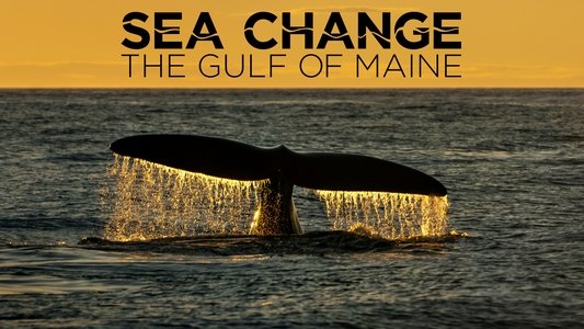 Sea Change: The Gulf of Maine