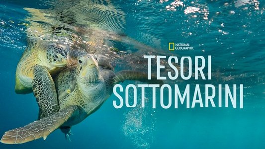 Sea of Hope: America's Underwater Treasures