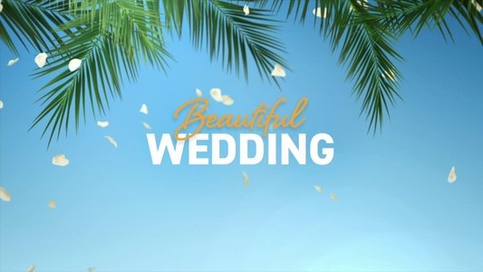 Beautiful Wedding