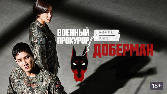 군검사 도베르만