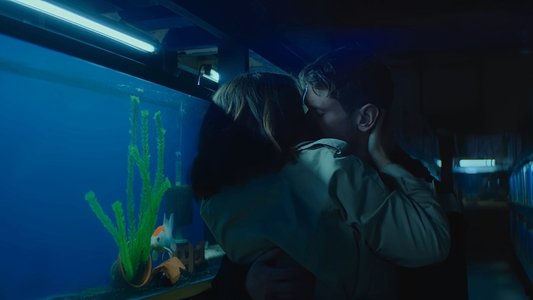 Little Fish