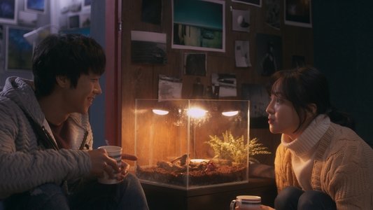 메이트