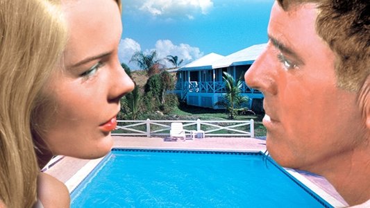 The Swimmer