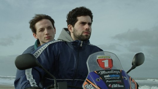Los miembros de la familia