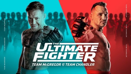 The Ultimate Fighter