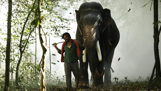 காடன்