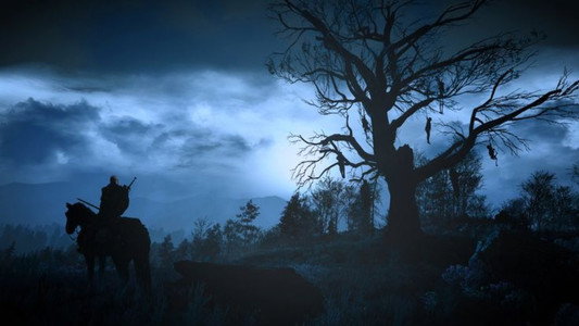 The Witcher