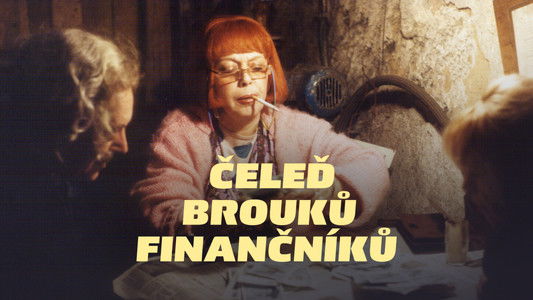 Čeleď brouků finančníků