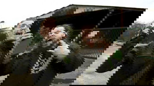 Nosferatu.com