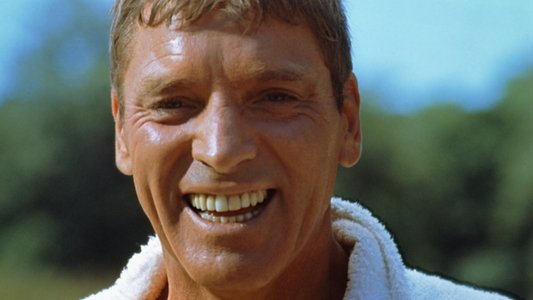 The Swimmer