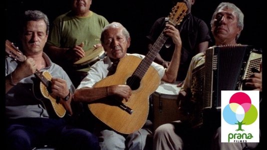 Amigo Lupi