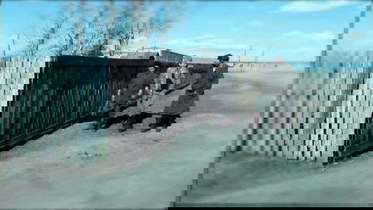 Хүний хүүхэд