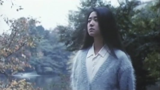薄毛の１９才