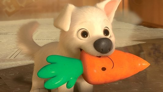 Bolt