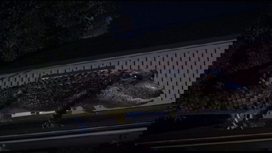 Bad CGI Gator