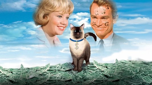 That Darn Cat!
