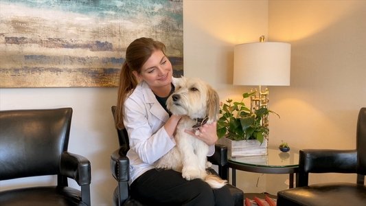 It's a Dog's Life with Bill Farmer