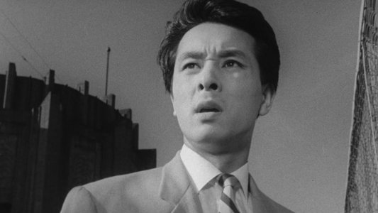 透明人間と蝿男