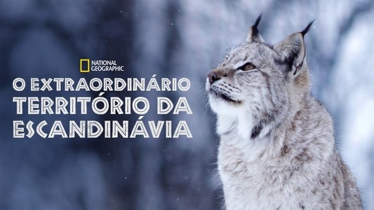 Wild Nordic