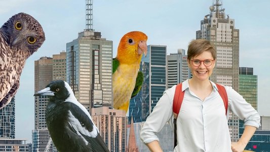 The Secret Lives of Our Urban Birds