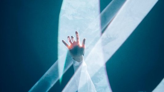 SAKANAQUARIUM 光 ONLINE