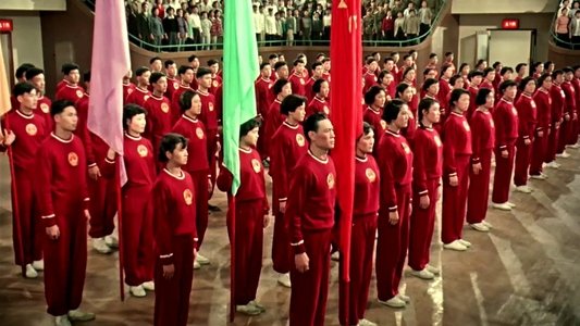 女篮五号
