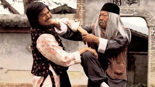 怪拳怪招怪師傅