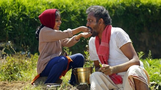 அக்கா குருவி