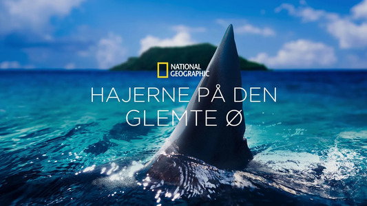 Lost Sharks of Easter Island