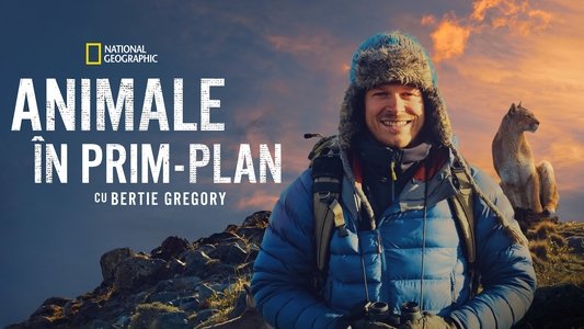 Animals Up Close with Bertie Gregory
