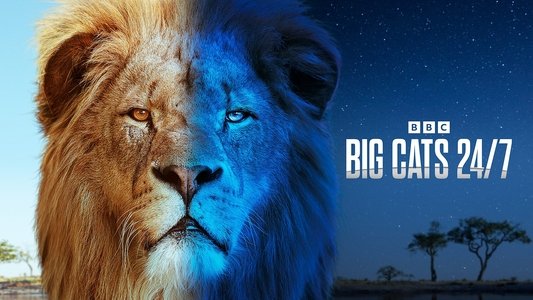 Big Cats 24/7