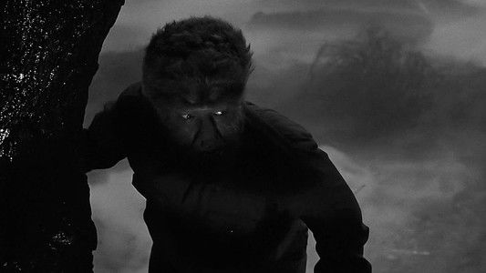 The Wolf Man