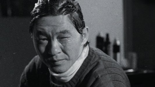 漂亮朋友