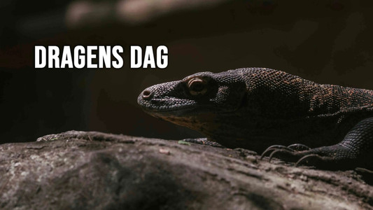 Day of the Dragon