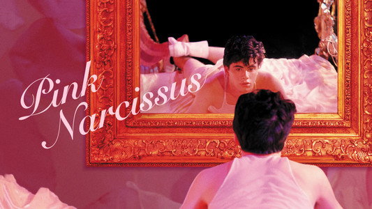 Pink Narcissus