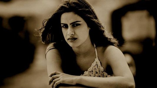 ചായം പൂശിയ വീട്