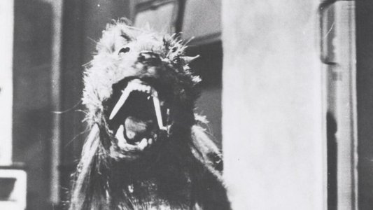 The Killer Shrews
