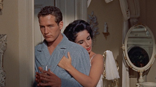 Cat on a Hot Tin Roof