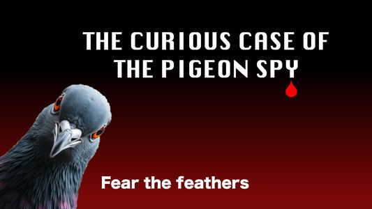 The Curious Case of the Pigeon Spy