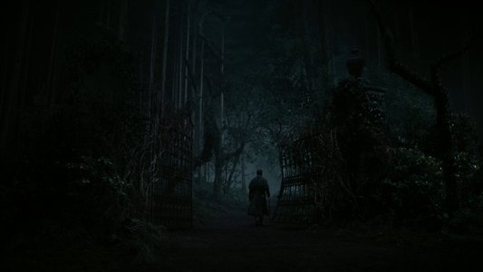 Dark Shadows