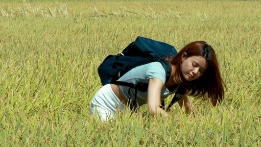 젊은 며느리