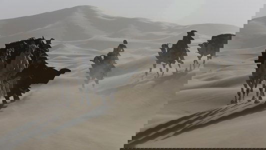 Queen of the Desert